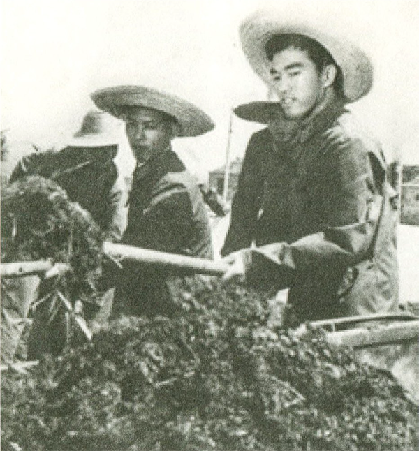 潼湖基地 辛勤劳作.png