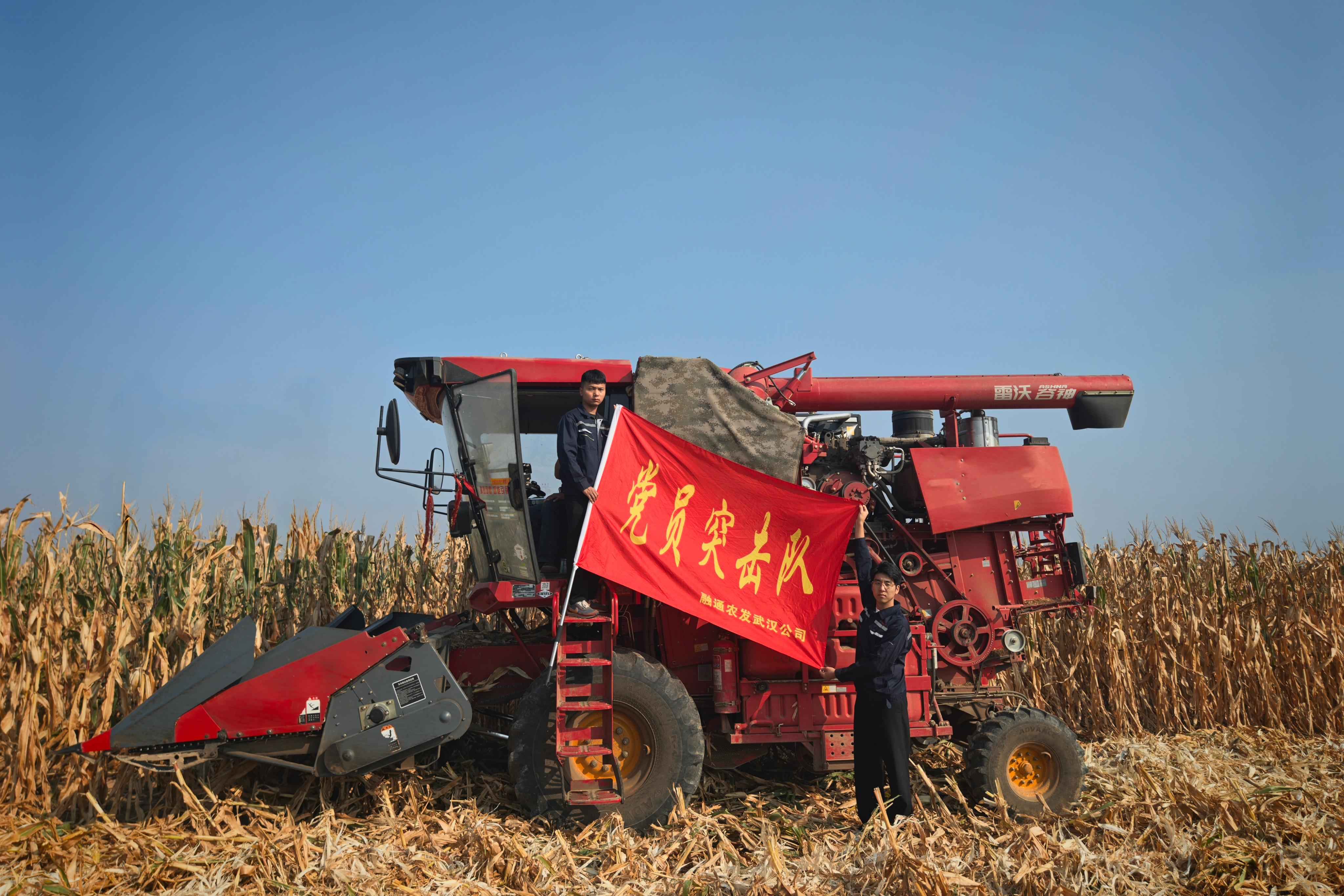 融通农发武汉公司党员突击队坚守秋收一线 胡莹摄.jpg