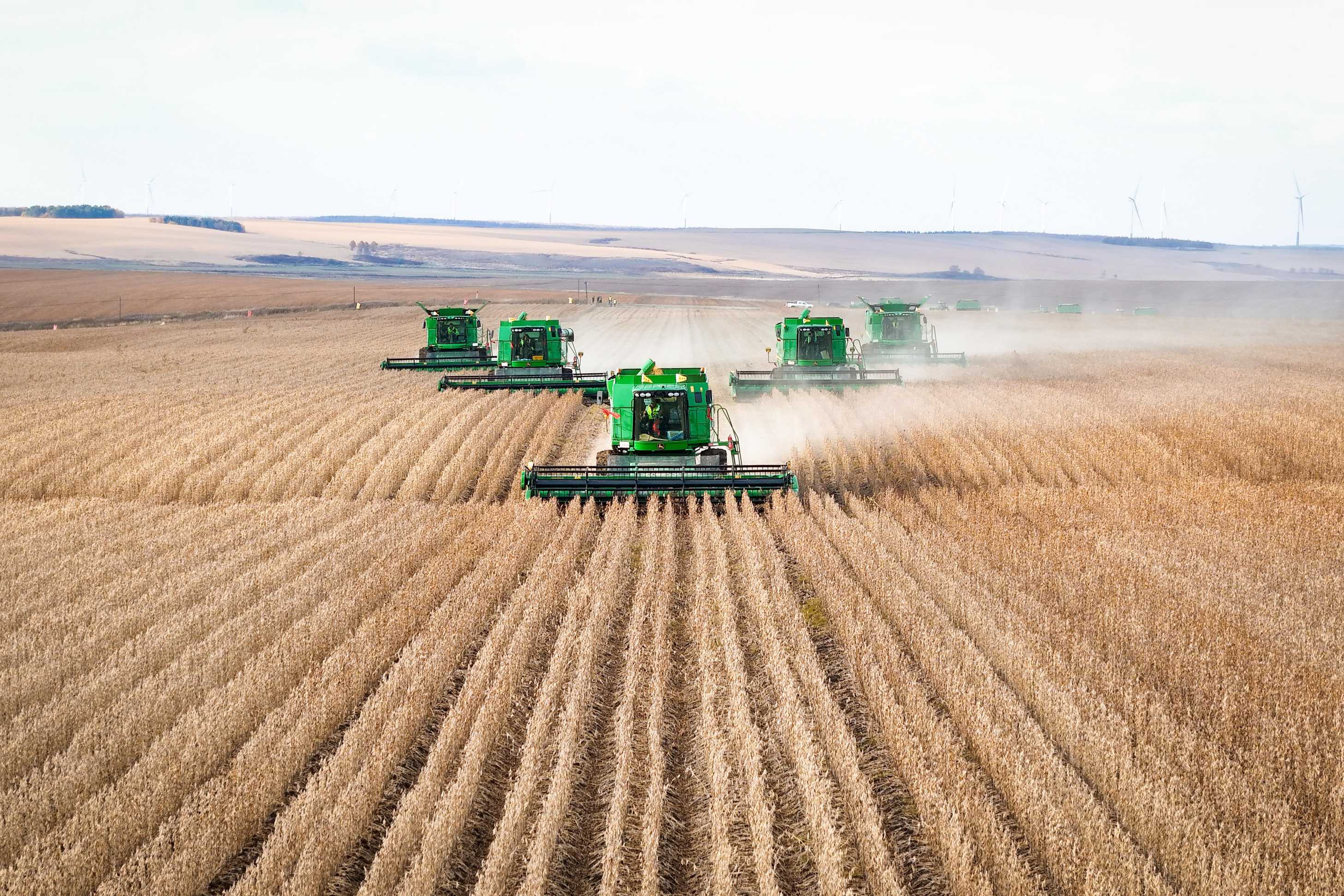 农发哈尔滨公司中部管理区组织机械力量集中开展大豆收获 林靖宵摄.jpg