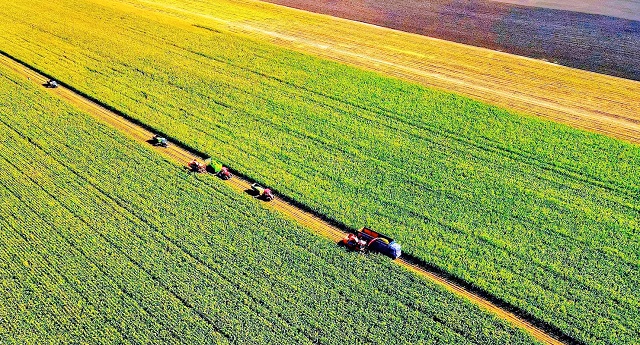 2022 07 20 1 (公开)-.jpg