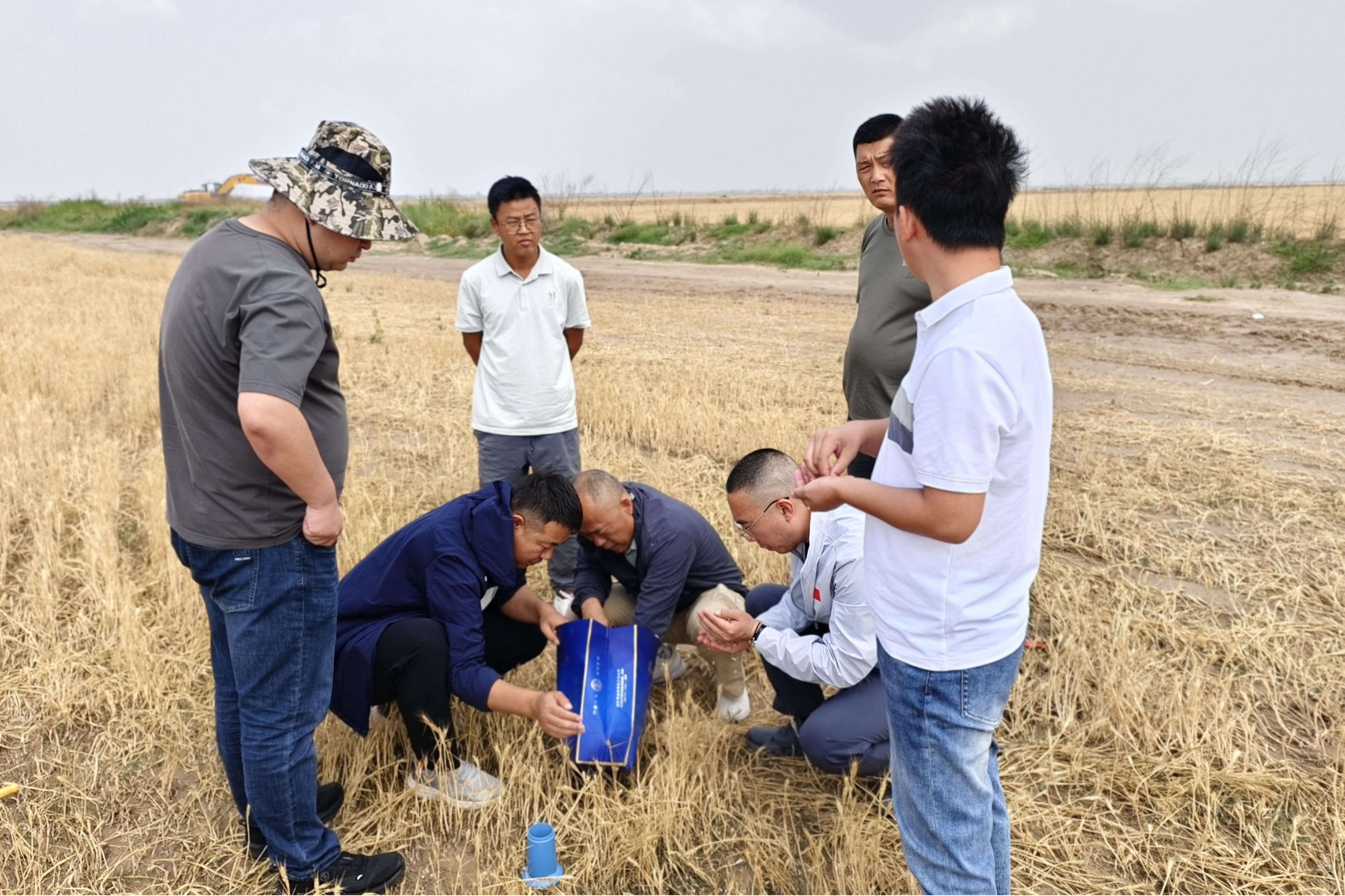 组织客户实地勘察,科学制定小麦收割方案 姜淼摄.jpg