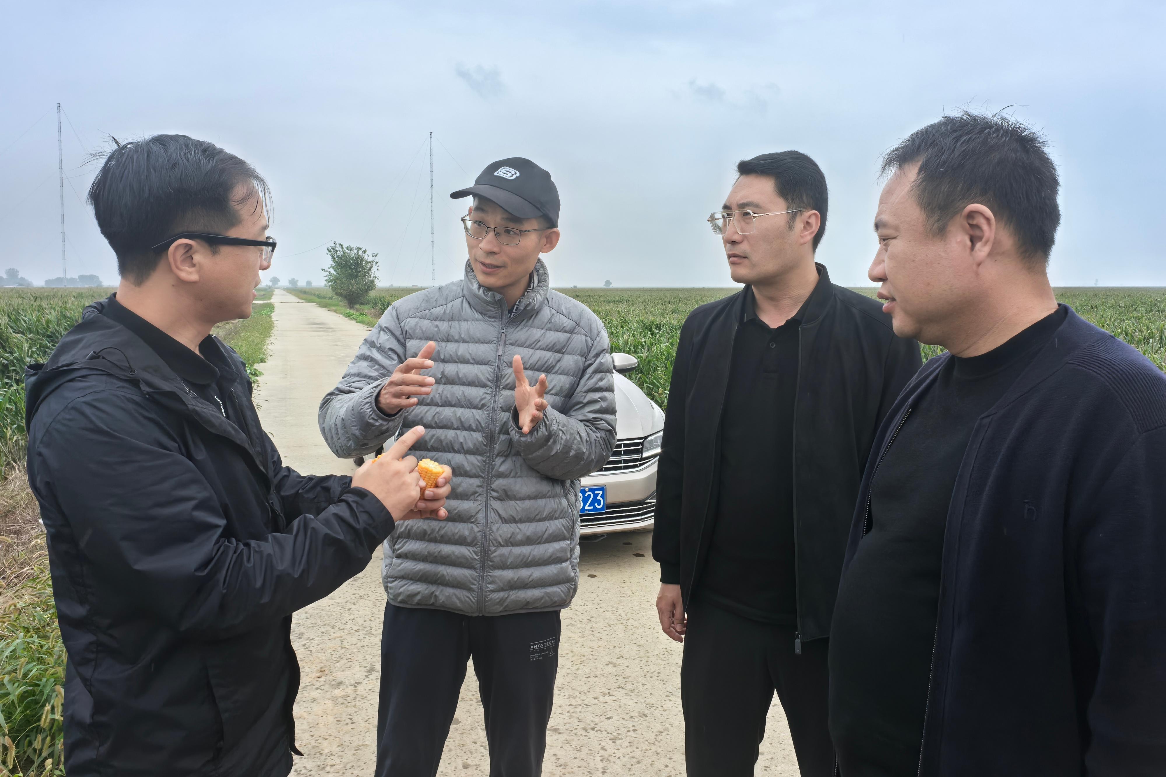 邀请华阴市头部养牛企业现场踏查青贮玉米长势 张金阔摄.jpg